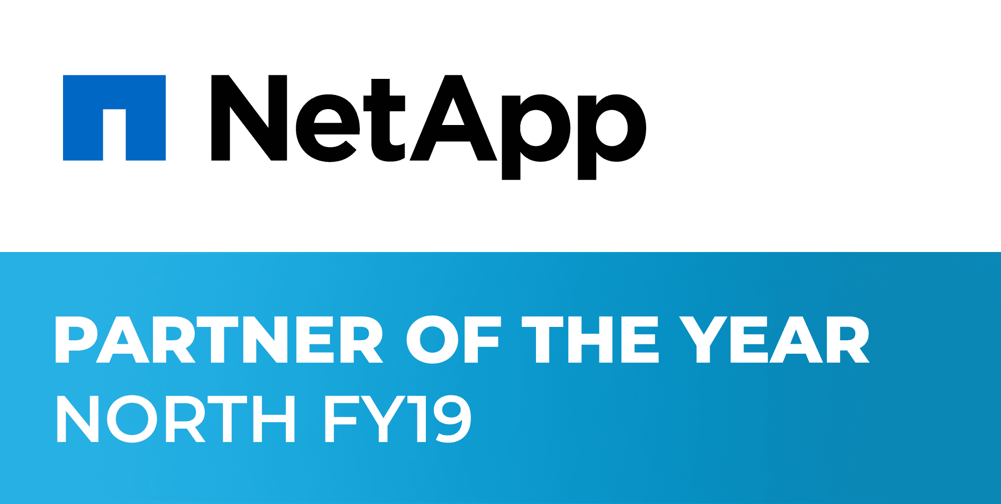 Partner of the Year Award North FY 19 from NetApp